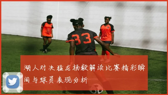 湖人对决猛龙杨毅解读比赛精彩瞬间与球员表现分析