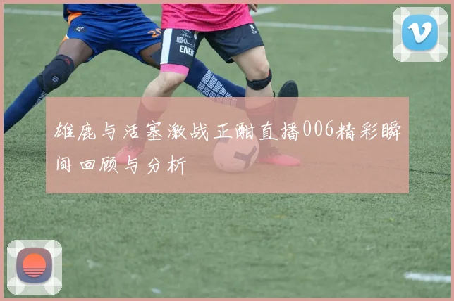雄鹿与活塞激战正酣直播006精彩瞬间回顾与分析