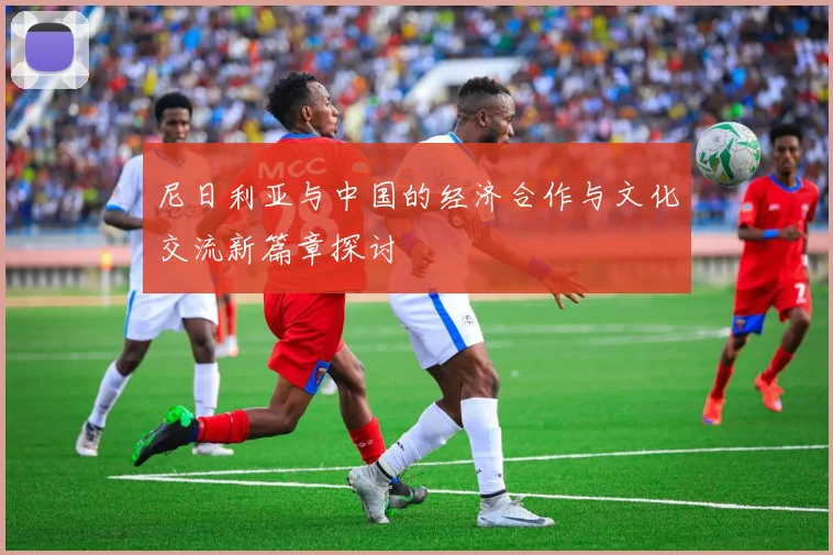 尼日利亚与中国的经济合作与文化交流新篇章探讨