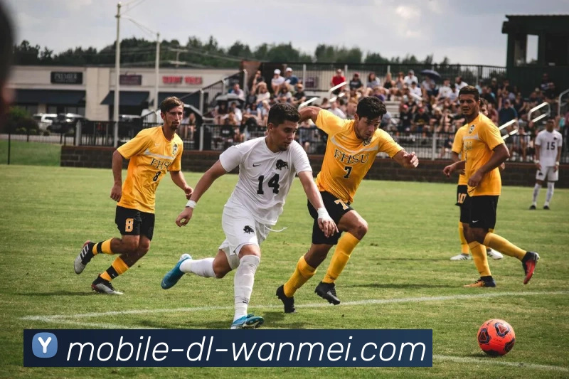 完美体育发展历程